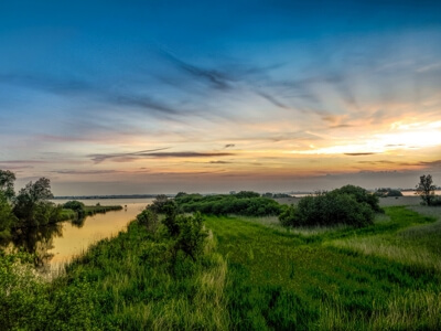 artwork-city-drenthe-tinified